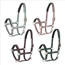 Eskadron Halfter mit