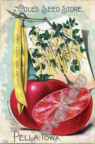 Vintage erbstück blumensamen - erbstück,