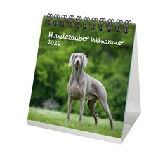 Hundezauber Weimaraner Tischkalender 10cm x 10cm für 2026 Welpen und Hunde - See