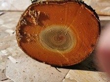 Drechselholz Bastelholz Edelholz Apfel Kirsche Eiche Mirabelle