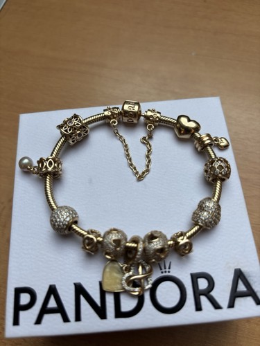 Gepflegtes pandora armband - gepflegtes,