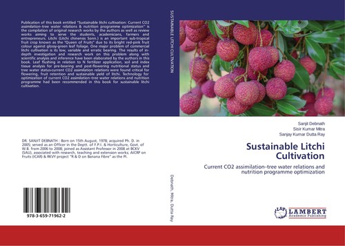 Sustainable litchi cultivation - sustainable,