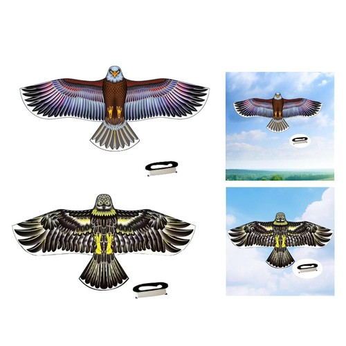Riesiger kite outdoor - riesiger,