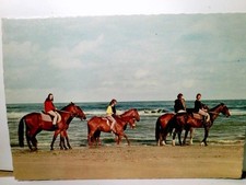 Vesterhavet. Dänemark. Die Nordsee. Alte AK farbig, ungel. ca 60ger Jahre ?. Rei