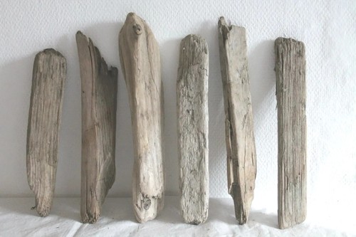 Schwemmholz treibholz 6 - ,