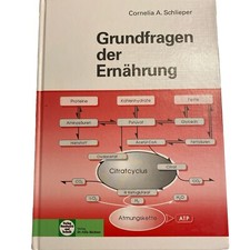 Grundfragen der Ernährung