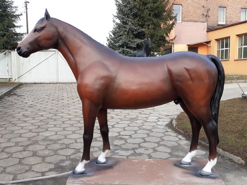 Lebensgroßes pferd bandito - 3d,