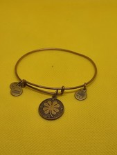 Alex und Ani Armband Energie