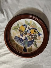 Tirschenreuth Blaumeise Blue