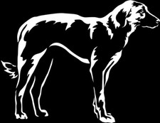 Kangal aufkleber - aufkleber,
