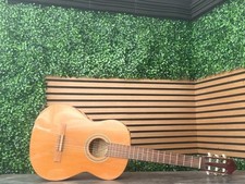 Avana T-20 7/8 Konzertgitarre - aus Massiver Zederndecke, Gitarre