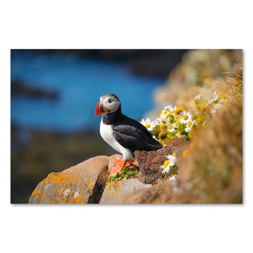 Postereck 3829 poster leinwand - 3829,