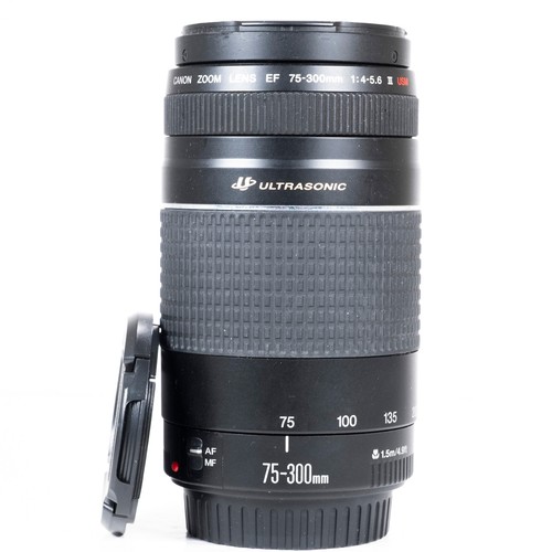 Canon teleobjektiv 300 mm - 75–300,