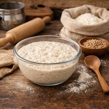 BIO-Sauerteig (Starter) -