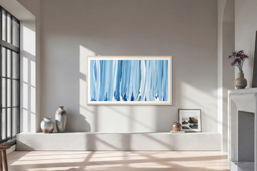 Samsung zoll the - zoll, pro