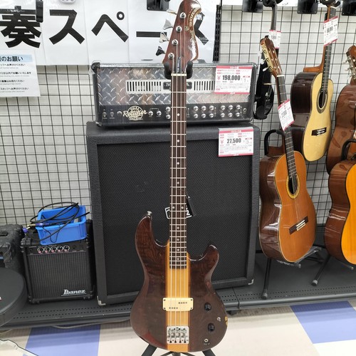 Aria pro tsb - aria, tsb-500
