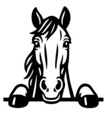 1x horse funny car decal