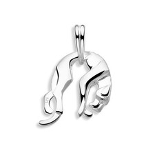 Panther Anhänger Klein Massiv 925 Silber Puma Poliert Herren Damen Klein