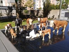 Schleich Set - 9 Kühe und