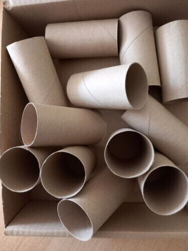 Leere klopapierrollen - 25,