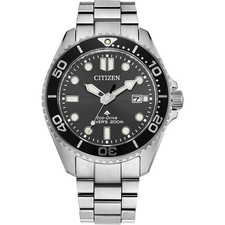 Citizen Promaster Dive Silber