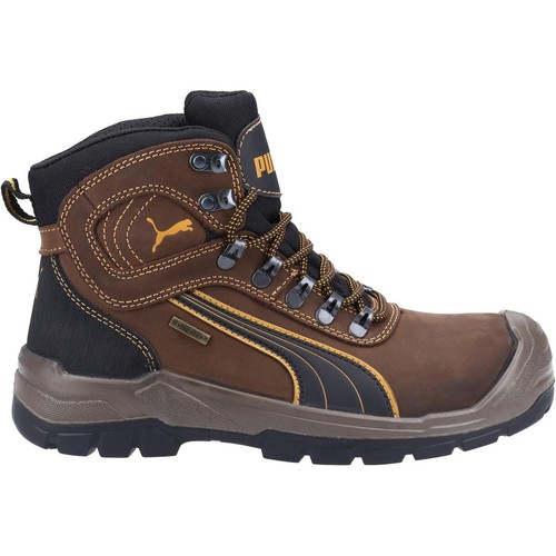Puma safety sierra nevada - puma,