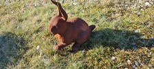 Neu !! Hase, Kaninchen, Tier