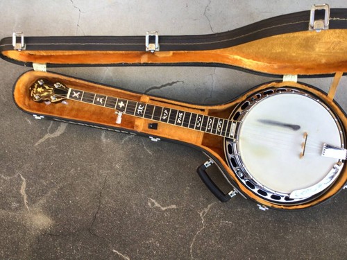 Tokai hummingbird string - tokai,