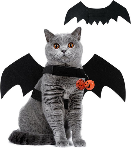 Hund kostüm fledermaus - hund,