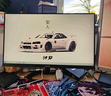 165Hz 24' IPS Gaming Monitor