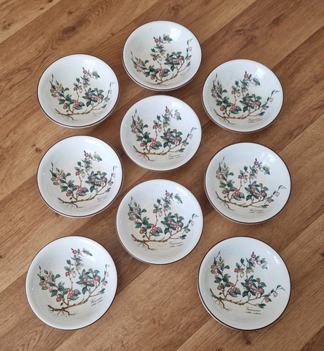Villeroy boch botanica 9x - villeroy,