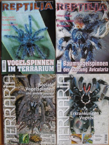 Vogelspinnen hefte x - hefte,