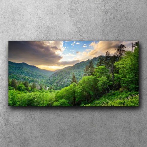 Canvas bild leinwand - leinwand, bilder