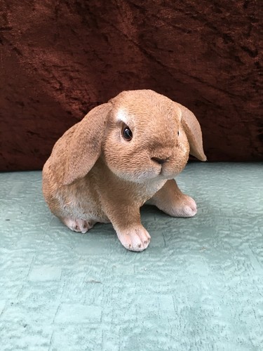 Hase ostern - hase,