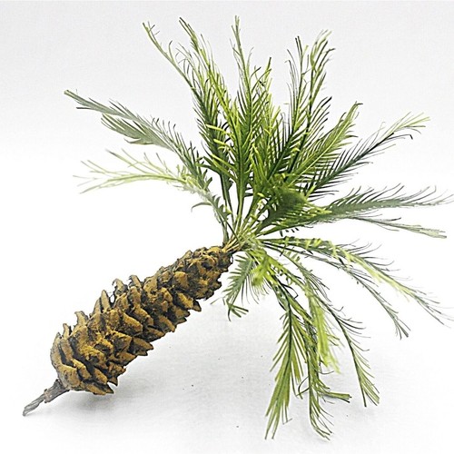 Palme für dschungel höhe - dschungel,