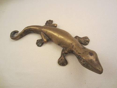 Gecko eidechse salamander - gecko,
