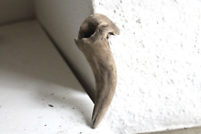 Schwemmholz Treibholz Skulptur - sehr schön-  L  11 cm Treibgut Handschmeichler