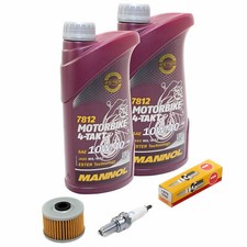 Öl 2L Inspektion für