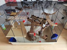 Rattenkäfig mit viel Zubehör 