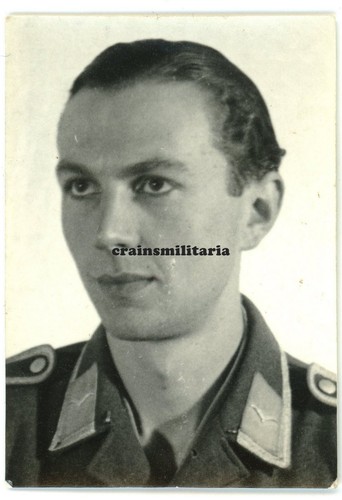Orig foto portrait - foto, nachtjagd