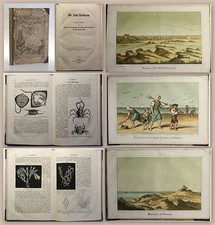 Riefkohl Die Insel Norderney