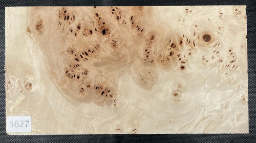 Bicolor maser pappel poplar - bicolor,