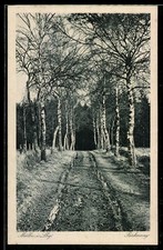 Ansichtskarte Mölln i. Lbg