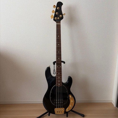 Ernie ball music - ball, stingray