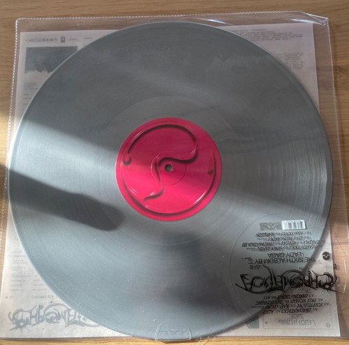 Lady gaga vinyl zur - lady,