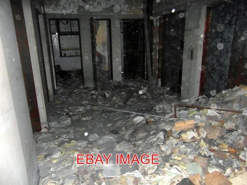 Foto büffel ungeklärter - foto,
