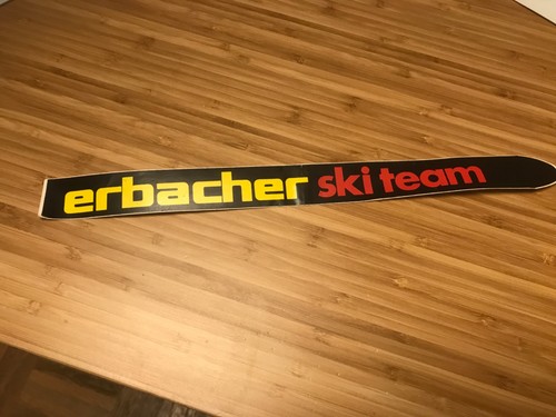 Erbacher ski team - ski,