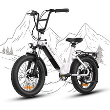 E Bike 20 Zoll Elektrofahrrad 48V 15Ah 250W 25KM/H E-Mountainbike Damen Herren