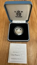 Royal Mint 1995 Silber PP £1