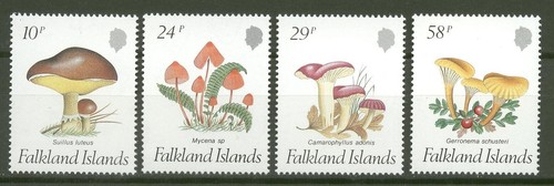 Pilze mushrooms - pilze,,
